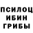 Псилоцибиновые грибы Psilocybine cubensis Allen Clarke