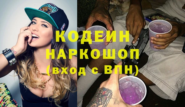 МДПВ Туринск