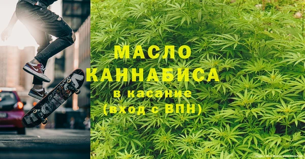 МДПВ Туринск