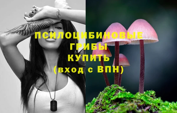 МДПВ Туринск