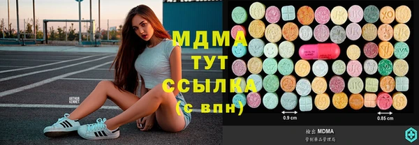 МДПВ Туринск