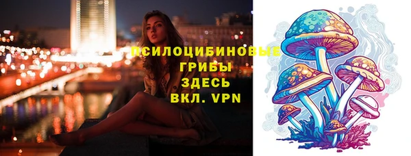 ешки Тутаев